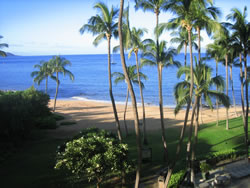 Balcony View Out to the Beach