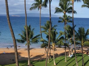 Lanai View Maui Beach Condo #411